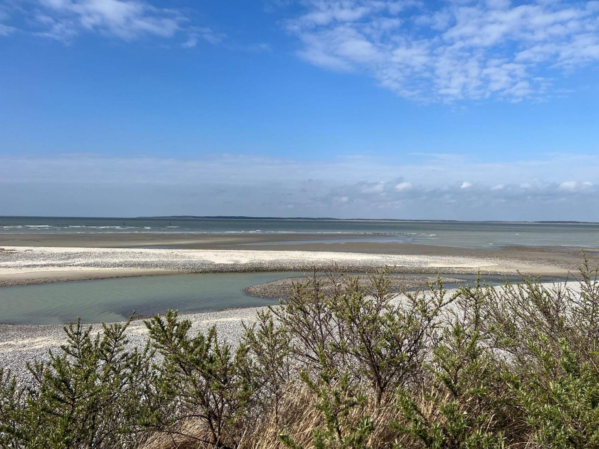Plage A 50M Appartement Reves De Mer Villa Les Bains De Mers Exteriör bild